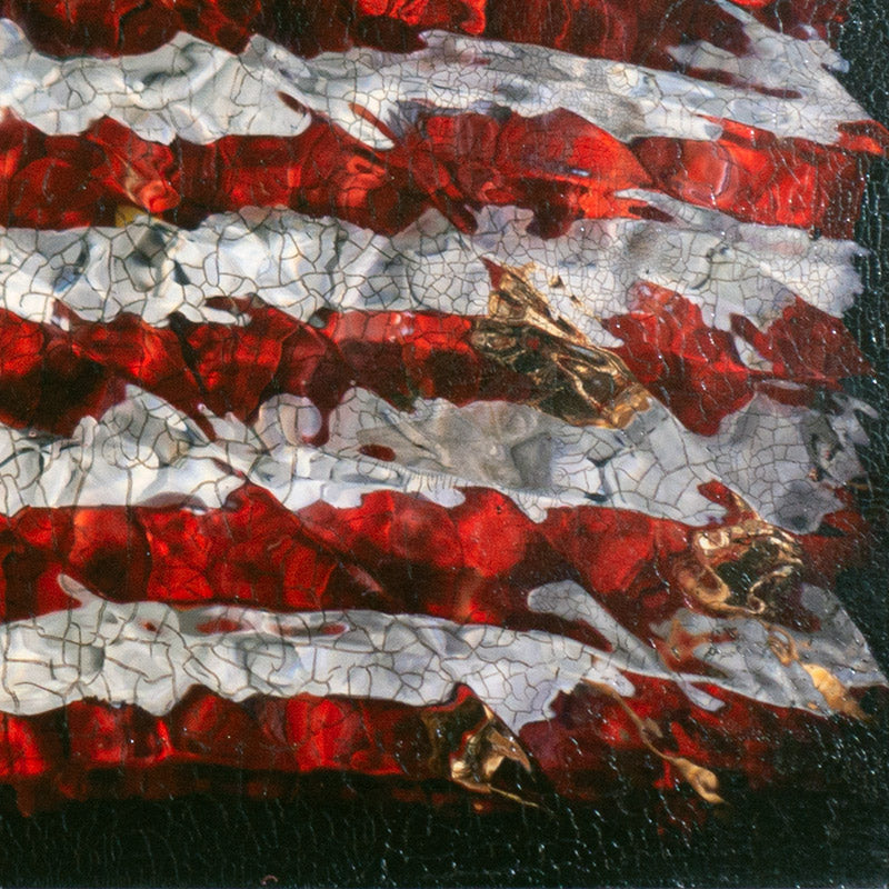 Close-up of flower petal American flag