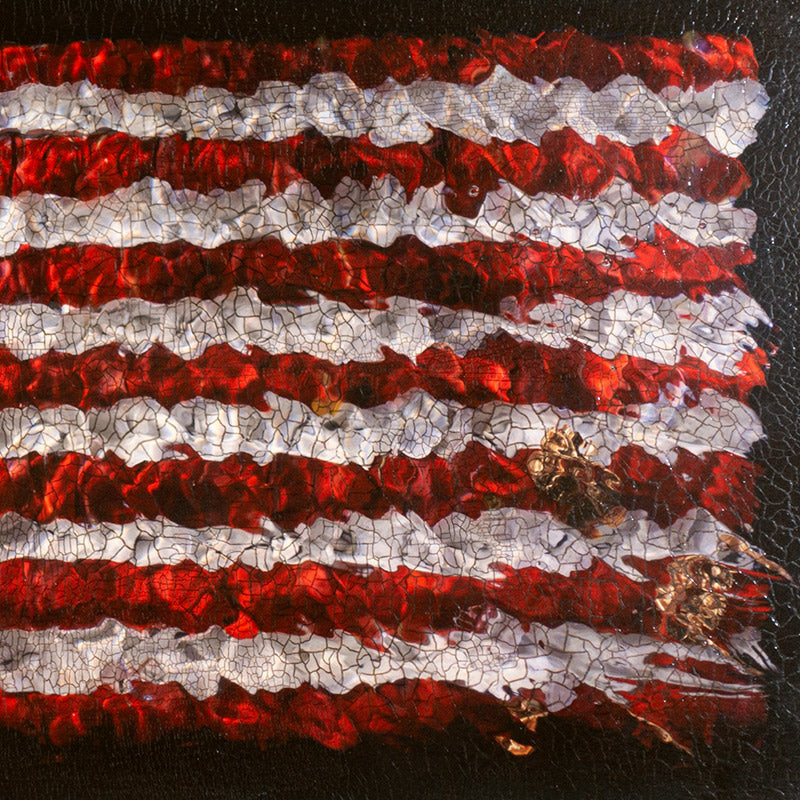 Limited edition American flag fine art piece