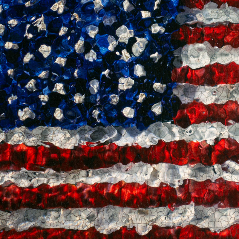 Signed & framed American flag with real flowers