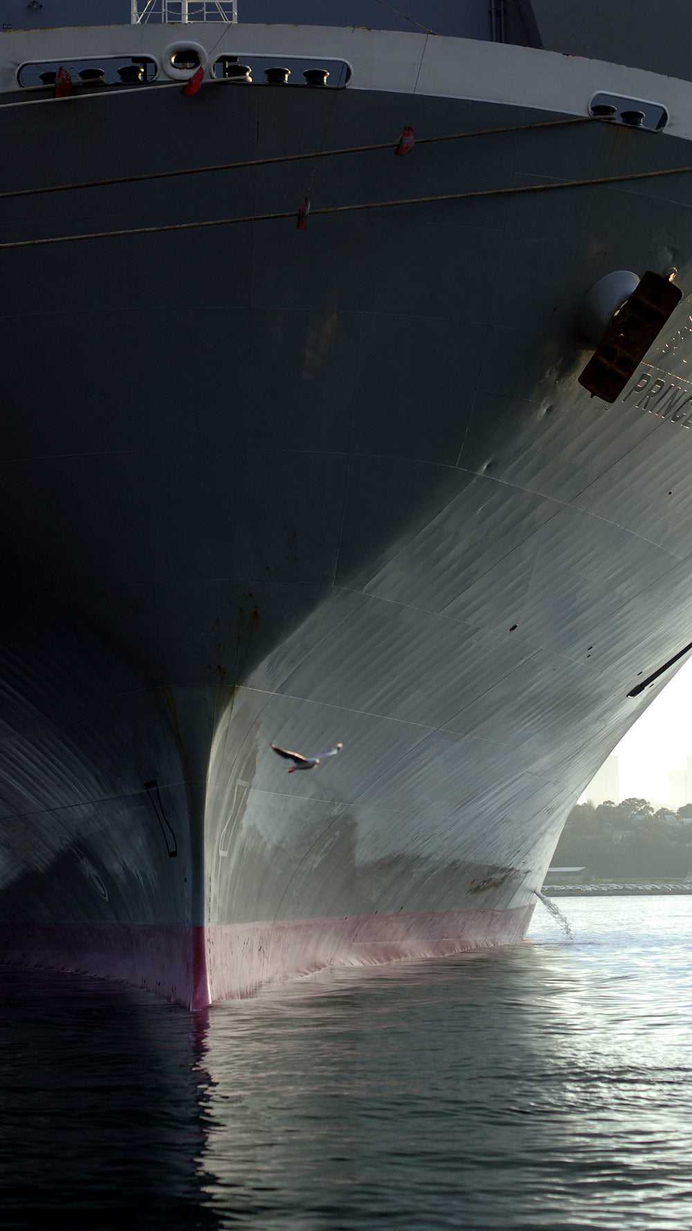Working Water Ships Hull Flight Seagull - Digital Art Download - €2.40 | Shop now & buy direct from the artists studio - Distil Ennui ™ est.1990.