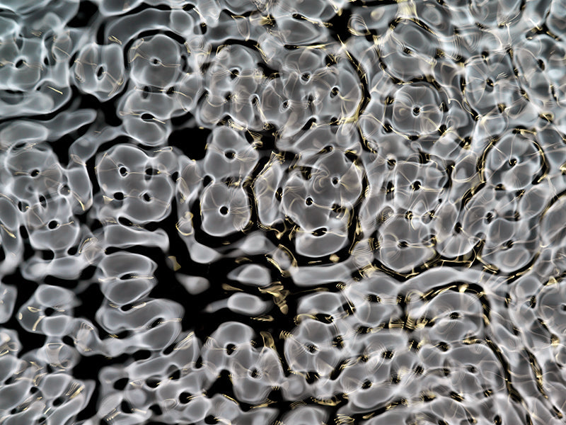 Underwater photograph day ii water light science experiments Verdant Mid Tone tonality from Cymatic Water and Light