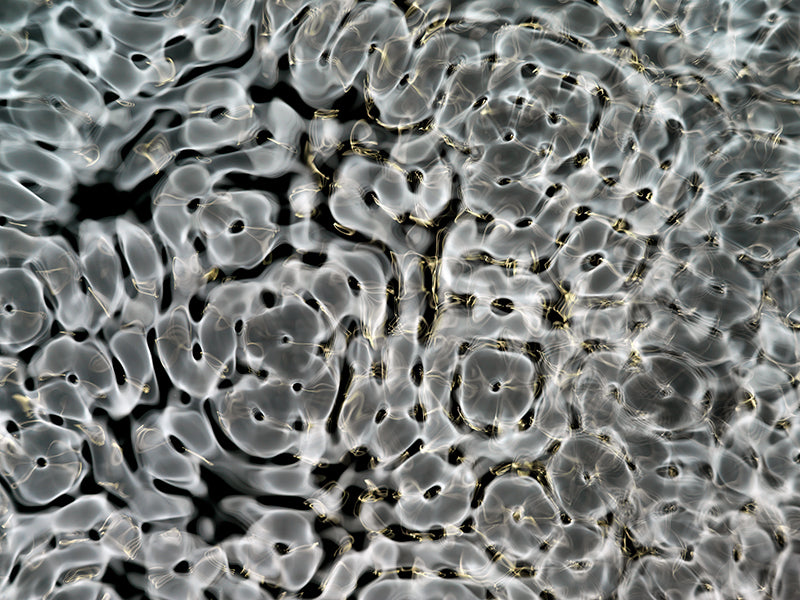 Underwater photograph day ii water light science experiments Verdant Mid Tone tonality from Cymatic Water and Light