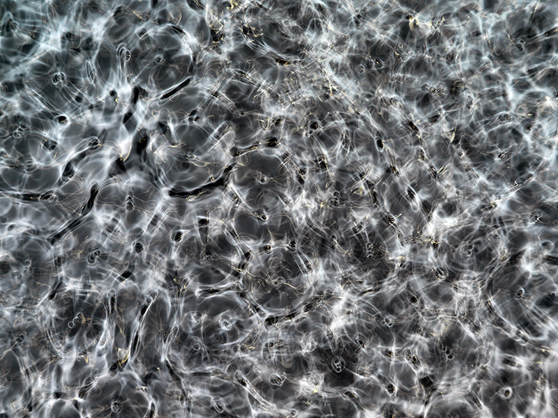 Underwater photograph day ii water light science experiments Cool Mid Tone tonality from Cymatic Water and Light