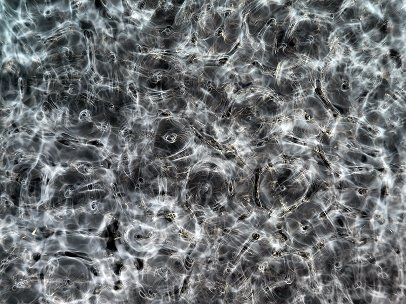 Underwater photograph day ii water light science experiments Cool Mid Tone tonality from Cymatic Water and Light