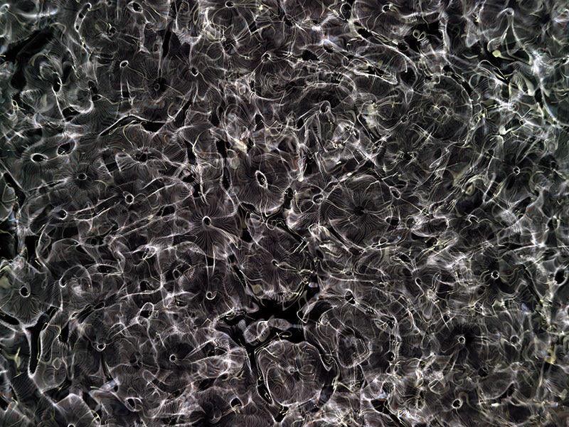 Underwater photograph day ii water light science experiments Warm Mid Tone tonality from Cymatic Water and Light