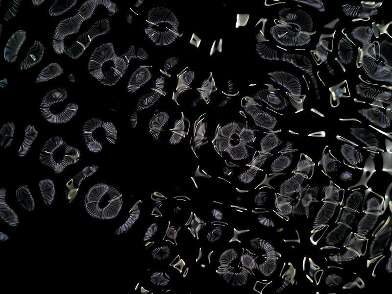 Underwater photograph day ii water light science experiments Cool Low Light tonality from Cymatic Water and Light