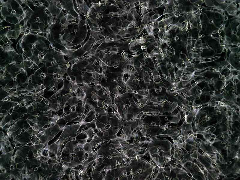 Underwater photograph day ii water light science experiments Verdant Low Light tonality from Cymatic Water and Light