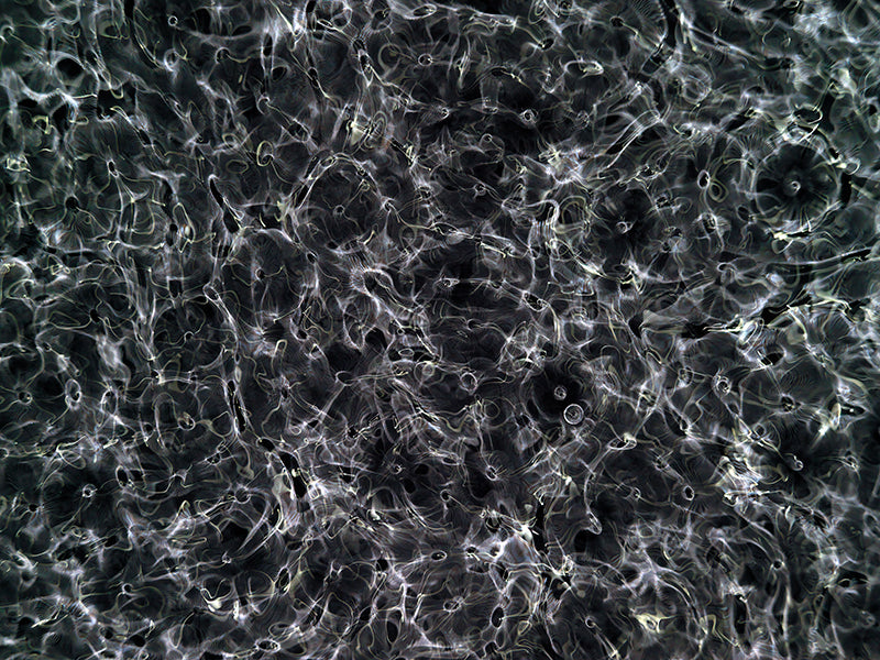 Underwater photograph day ii water light science experiments Cool Low Light tonality from Cymatic Water and Light