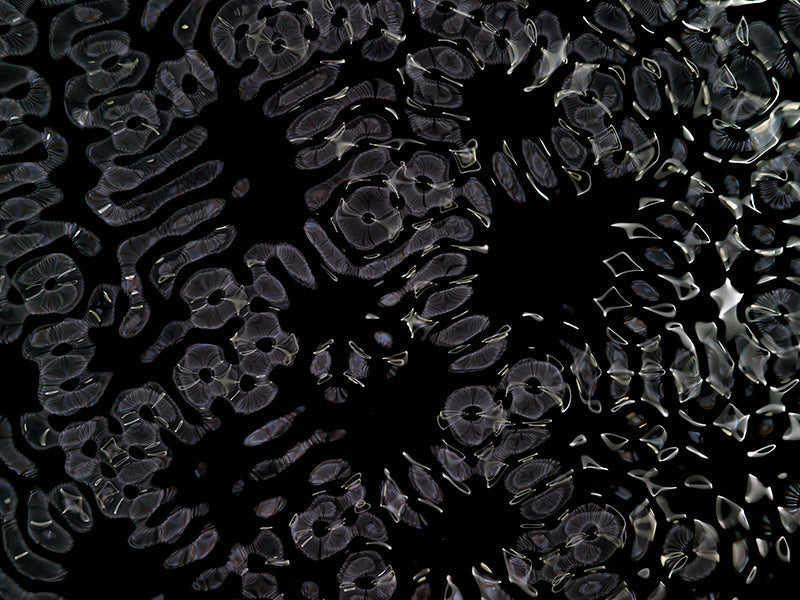 Underwater photograph day ii water light science experiments Cool Low Light tonality from Cymatic Water and Light