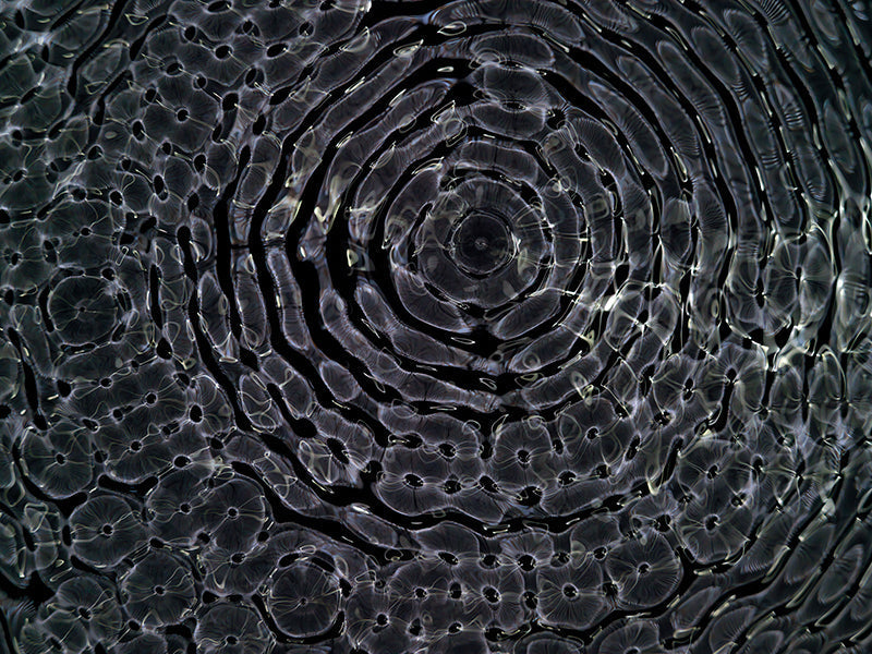 Underwater photograph day ii water light science experiments Cool Low Light tonality from Cymatic Water and Light