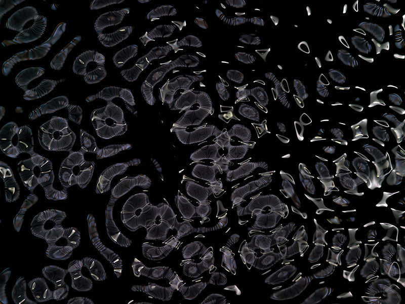 Underwater photograph day ii water light science experiments Cool Low Light tonality from Cymatic Water and Light