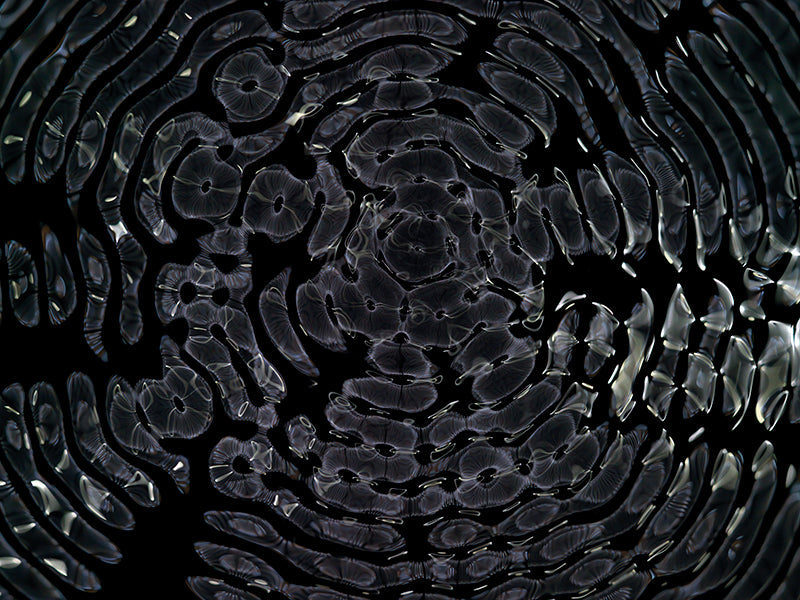 Underwater photograph day ii water light science experiments Cool Low Light tonality from Cymatic Water and Light