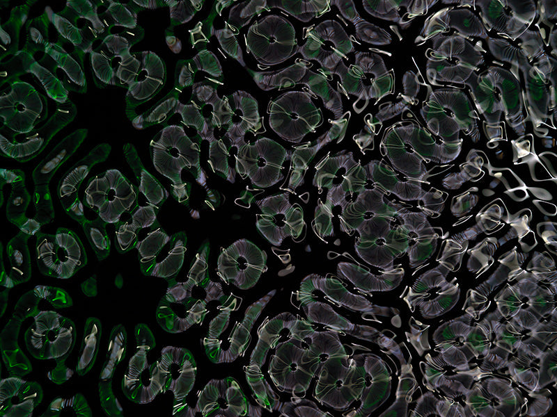 Underwater photograph day ii water light science experiments Verdant Low Light tonality from Cymatic Water and Light