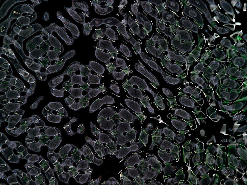 Underwater photograph day ii water light science experiments Cool Low Light tonality from Cymatic Water and Light