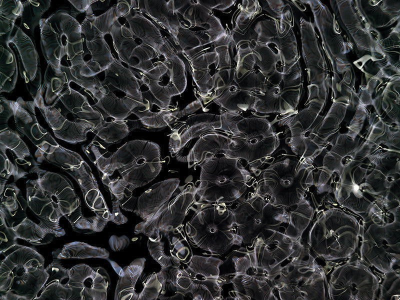 Underwater photograph day ii water light science experiments Verdant Low Light tonality from Cymatic Water and Light