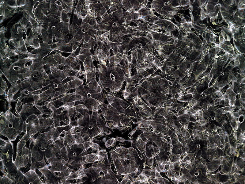 unique 64*46*6cms Shou Sugi Ban framed photographic print 'Plate No. 0166' photographic print - €3280 | Shop now & buy direct from the artists studio - Distil Ennui ™ est.1990.