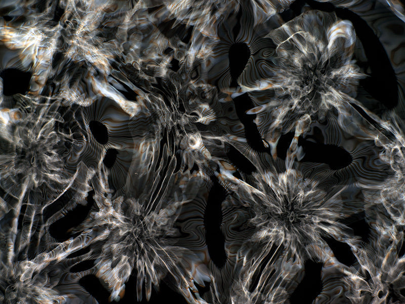 Underwater photograph day iii Warm Low Light tonality from Cymatic Water and Light