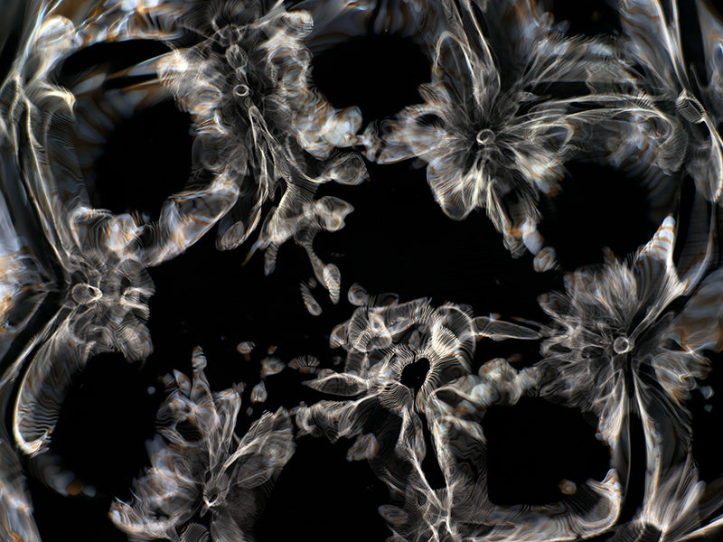 Underwater photograph day iii Warm Low Light tonality from Cymatic Water and Light