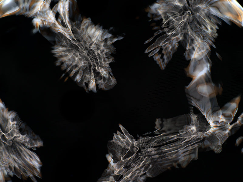 Underwater photograph day iii Warm Low Light tonality from Cymatic Water and Light