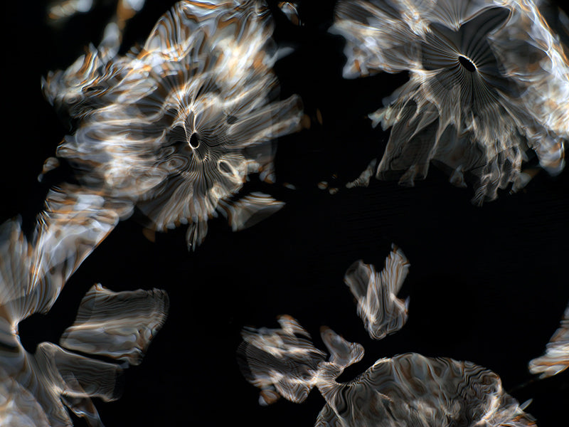 Underwater photograph day iii Warm Low Light tonality from Cymatic Water and Light