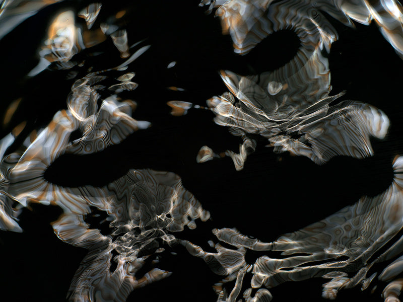 Underwater photograph day iii Verdant Low Light tonality from Cymatic Water and Light