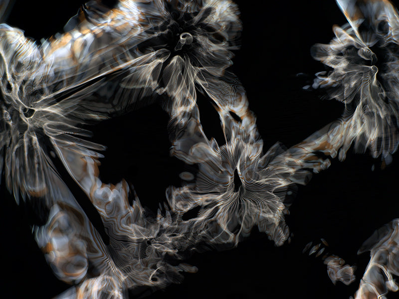 Underwater photograph day iii Warm Low Light tonality from Cymatic Water and Light