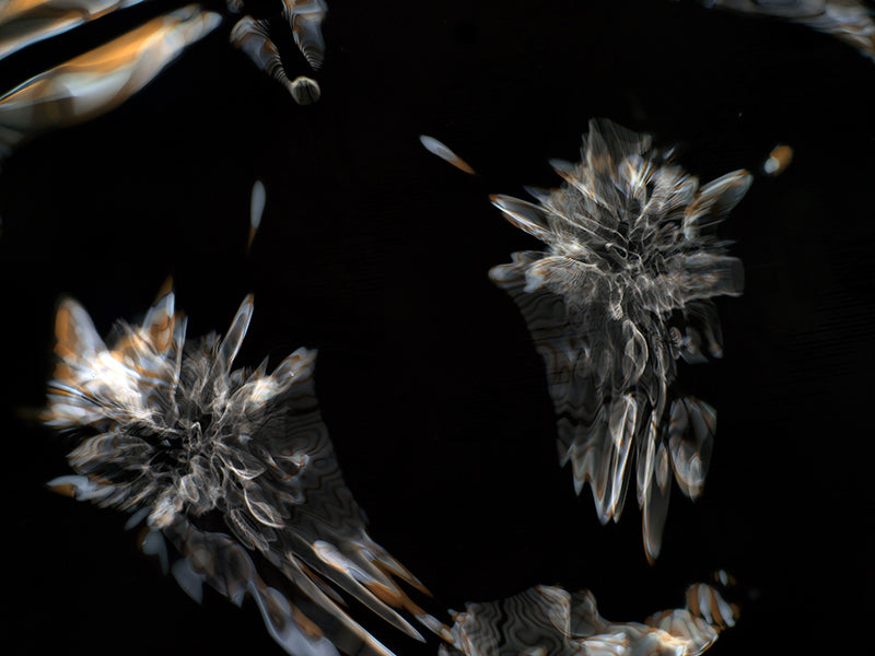 Underwater photograph day iii Warm Low Light tonality from Cymatic Water and Light