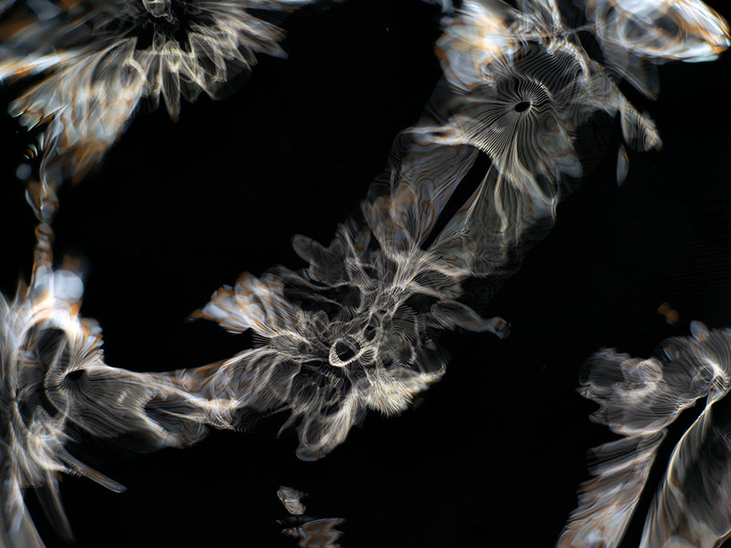 Underwater photograph day iii Warm Low Light tonality from Cymatic Water and Light