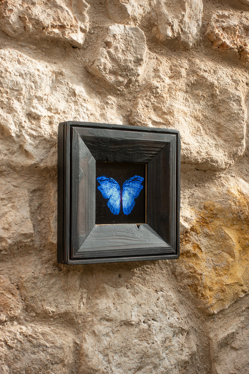 copper mounted & framed 'Mirror of the goddess No.III' photographic butterfly print - €360 | Shop now & buy direct from the artists studio - Distil Ennui ™ est.1990.