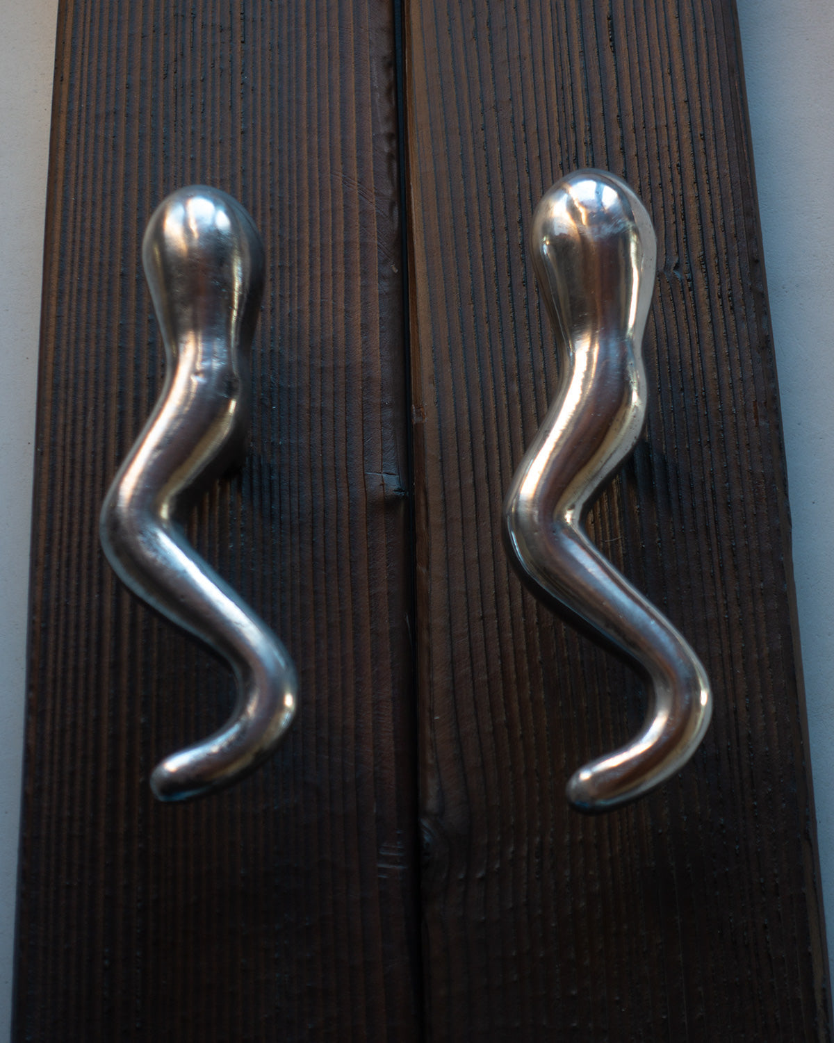 Artistic cabinet pull inspired by nature