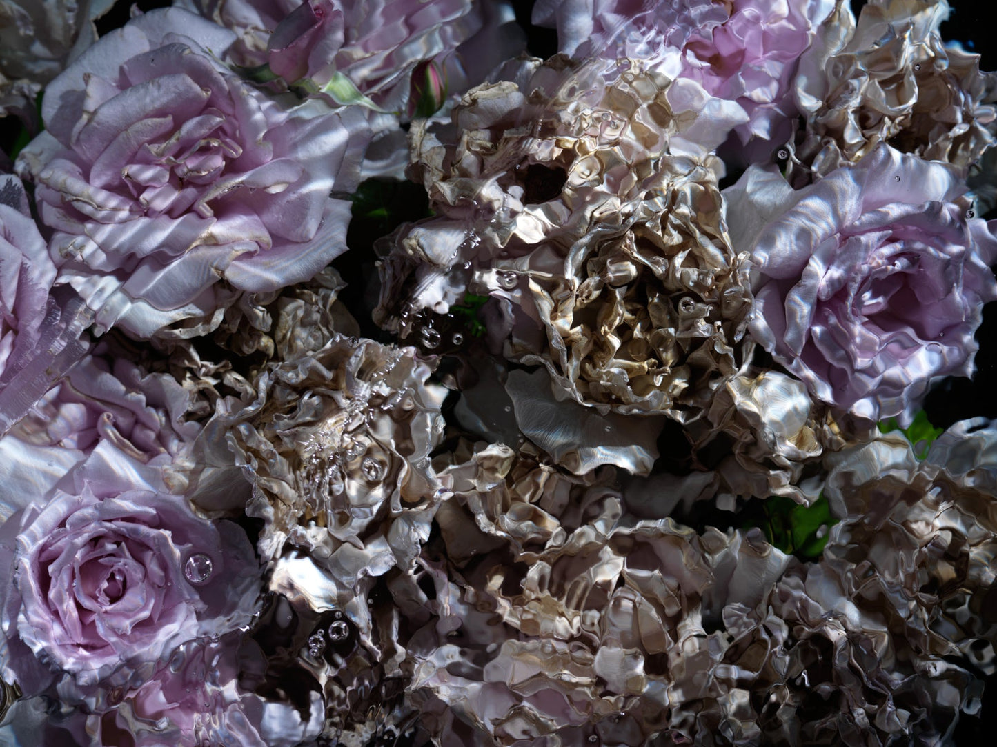 Floral Vanitas Drop - Unique Prints From A Limited Collection Of 100 - €90 | Shop now & buy direct from the artists studio - Distil Ennui ™ est.1990.