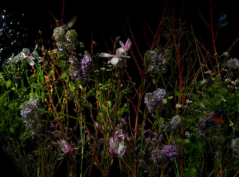 Underwater photograph floral vanitas Warm Low Light tonality