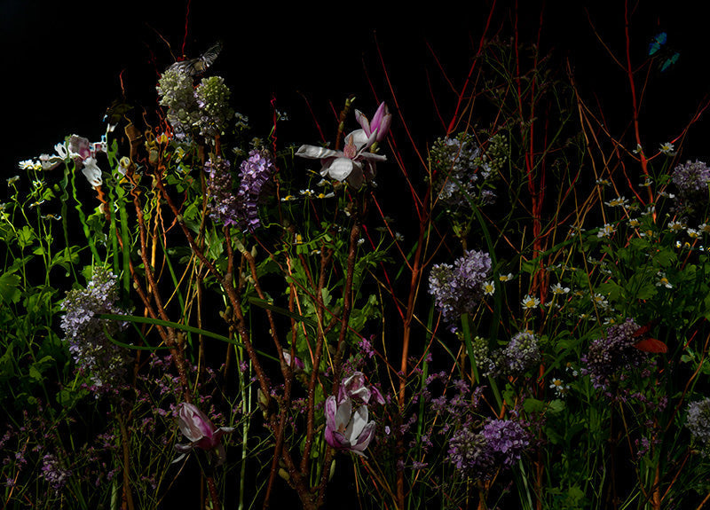 Underwater photograph floral vanitas Warm Low Light tonality