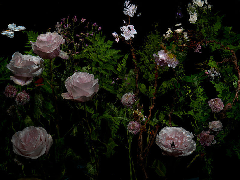 Underwater photograph floral vanitas Verdant Low Light tonality