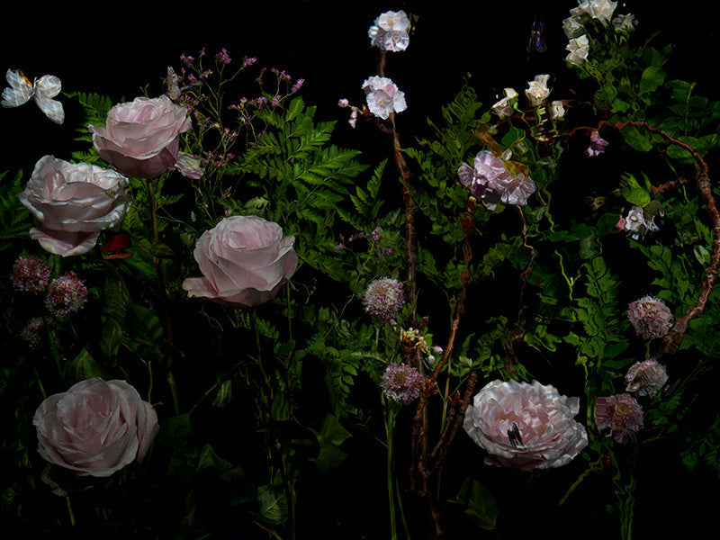 Underwater photograph floral vanitas Verdant Low Light tonality