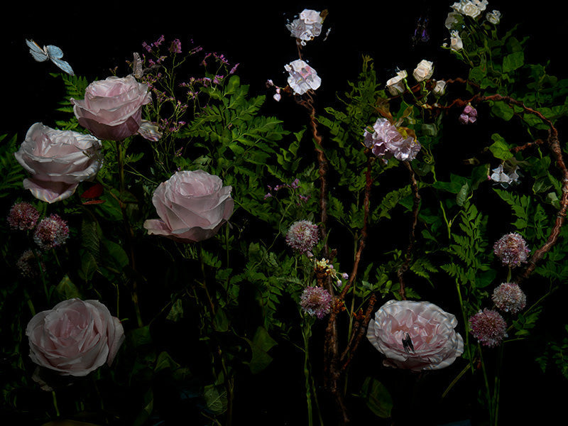 Underwater photograph floral vanitas Verdant Low Light tonality