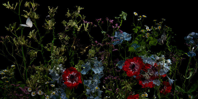 Underwater photograph floral vanitas crop Warm Low Light tonality