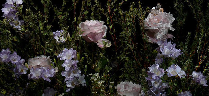 Underwater photograph floral vanitas crop option cage corridor Warm Low Light tonality