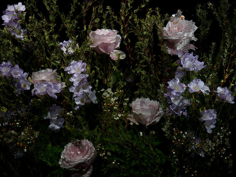 Underwater photograph floral vanitas Warm Low Light tonality