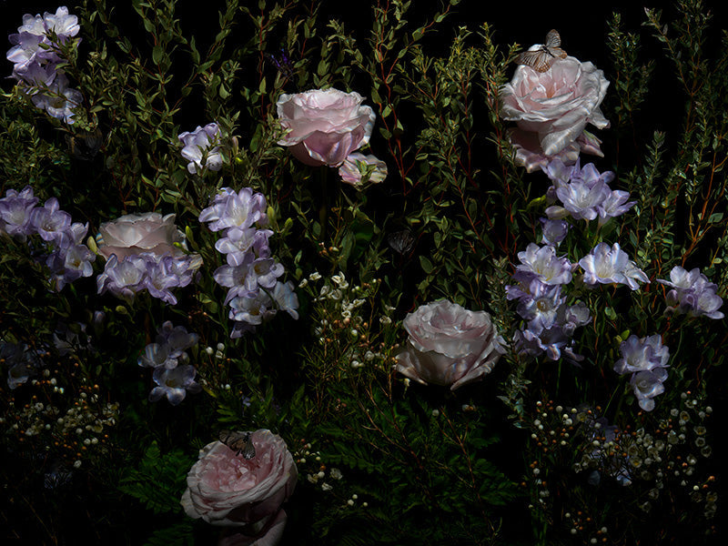Underwater photograph floral vanitas Warm Low Light tonality