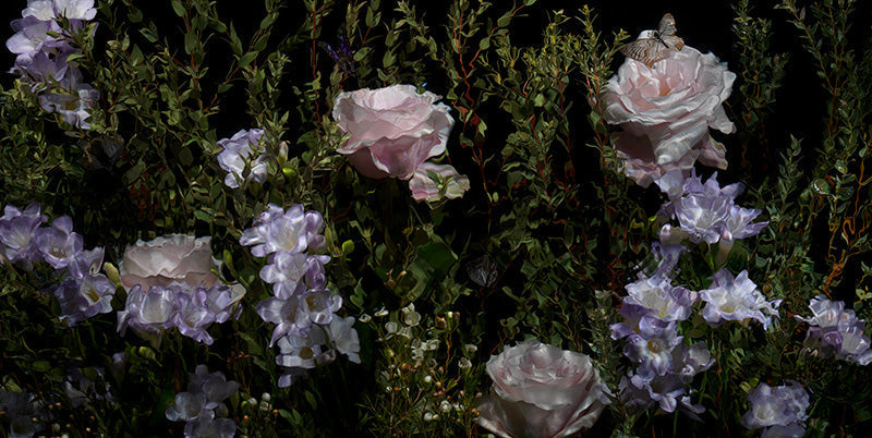 Underwater photograph floral vanitas cage crop option Warm Low Light tonality