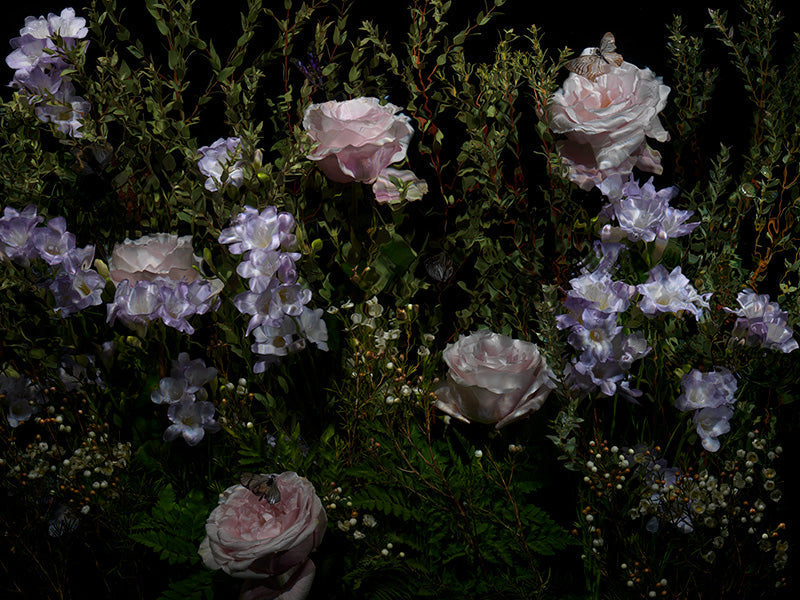 Underwater photograph floral vanitas Warm Low Light tonality