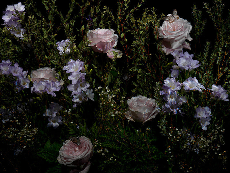 Underwater photograph floral vanitas Warm Low Light tonality