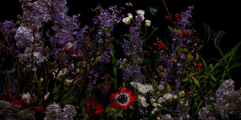 Underwater photograph floral vanitas crop Warm Low Light tonality