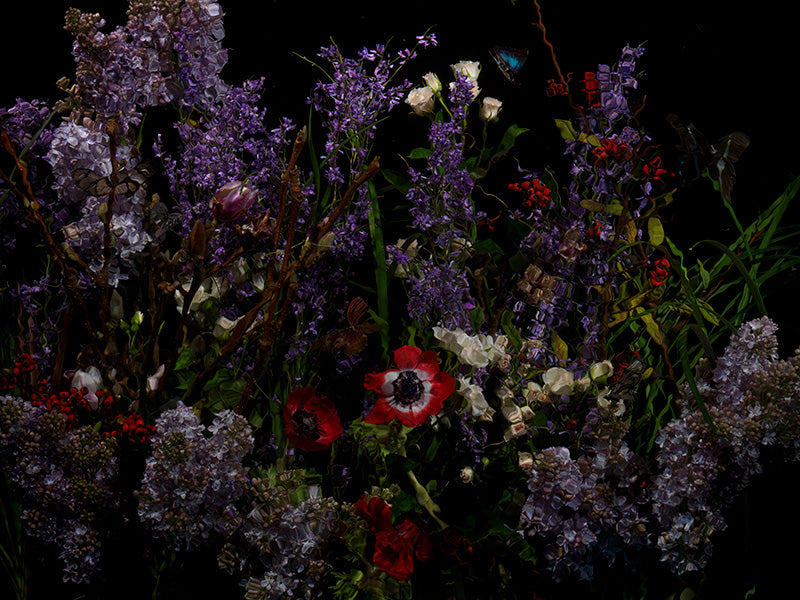 Underwater photograph floral vanitas Warm Low Light tonality