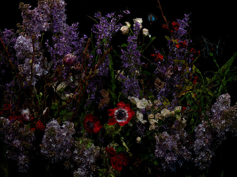 Underwater photograph floral vanitas Warm Low Light tonality
