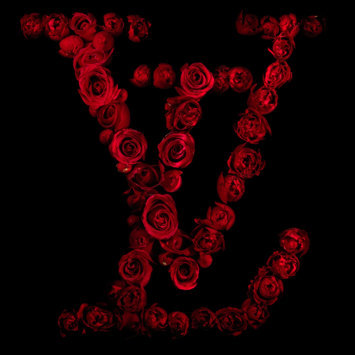 Louis Vuitton Brand Logo Created In Red Roses Underwater - €2.40 | Shop now & buy direct from the artists studio - Distil Ennui ™ est.1990.