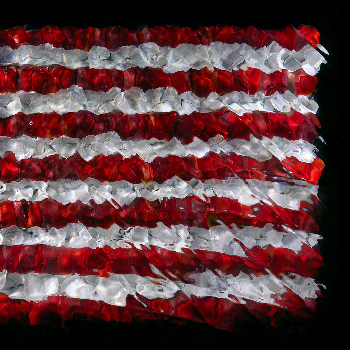 American Flag floral sculpture underwater print