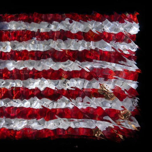 American Flag floral giclée print photographed underwater