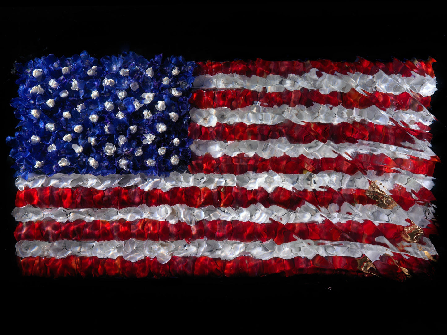 Underwater sculpture of American Flag in flower petals